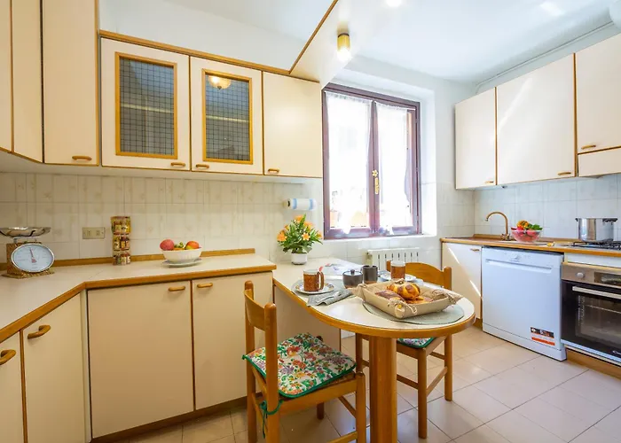 Gaya Center - Happy * 스트레사